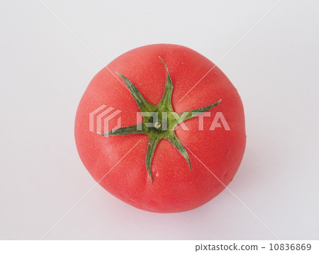 Tomato   10836869