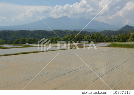初夏的Akeno村 初夏的Akeno村 10837112