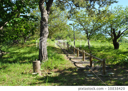Yoichi Park · Promenade (road leading to the observation deck) Yoichi Park · Promenade (road leading to the observation deck) 10838420