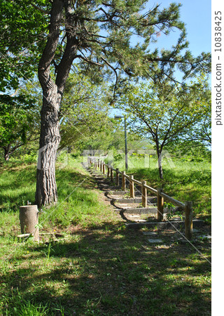 Yoichi Park · Promenade (road leading to the observation deck) 10838425