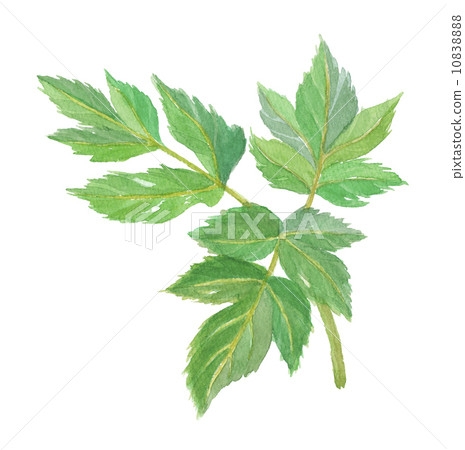 Ashita leaves tomorrow 10838888