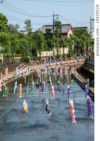 櫪木縣櫪木市鞆羽川的鯉魚旗 櫪木縣櫪木市鞆羽川的鯉魚旗 10839519