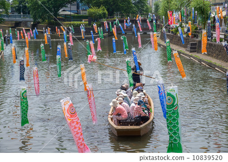 Tomoeagawa河的鯉魚流 10839520