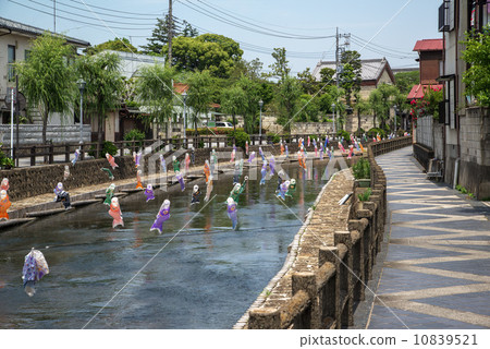 櫪木縣櫪木市鞆羽川的鯉魚旗 櫪木縣櫪木市鞆羽川的鯉魚旗 10839521