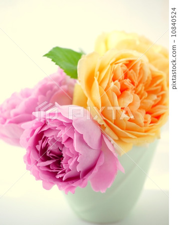 Apricot and pink English rose arrangement (up) 10840524