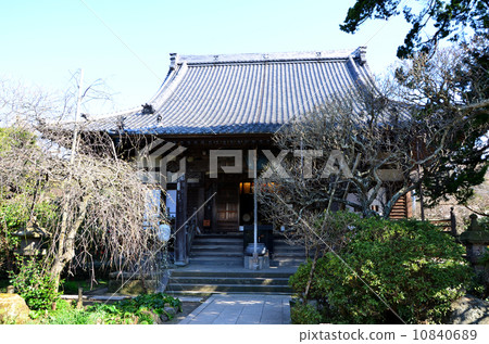 Kamakura treasure temple temple (2014.4) 10840689
