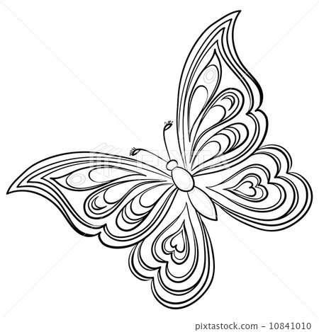Butterfly, contours Butterfly, contours 10841010