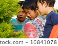 Three children staring at something 10841078