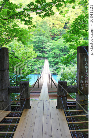 Shizuoka Prefecture Sumatakyo Dream Suspension Bridge 10841123