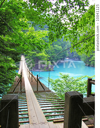 Shizuoka Prefecture Sumatakyo Dream Suspension Bridge Shizuoka Prefecture Sumatakyo Dream Suspension Bridge 10841125