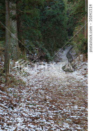 Omine Oku-no-michi的薄雪 Omine Oku-no-michi的薄雪 10841514