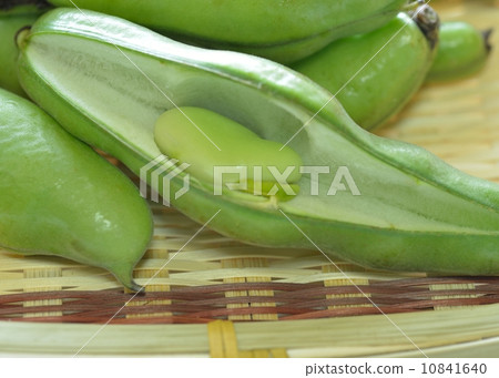 Broad beans Broad beans 10841640