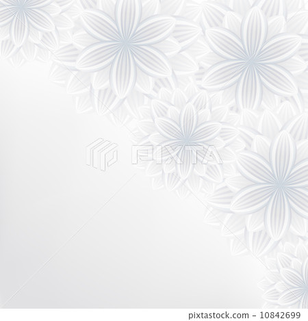 Beautiful lace floral background with flowers 10842699