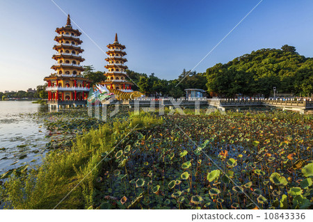 清晨的荷花池潭 10843336