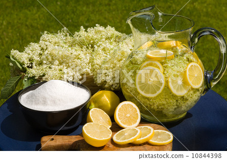 Elderflower drink Elderflower drink 10844398