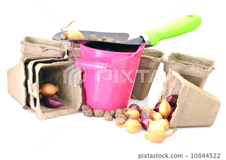 Bucket, Shovel, Seeds, Dlay Isolated on White 10844522
