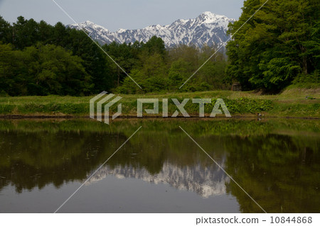 Goryo Gaku · May morning Goryo Gaku · May morning 10844868