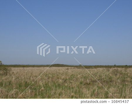 Kushiro marsh in early summer 10845437