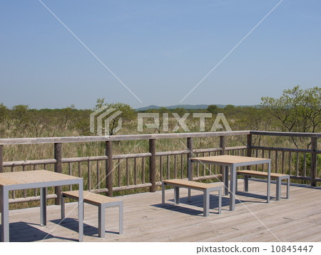 初夏的釧路沼澤 10845447