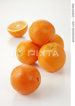 臍橙 10845490