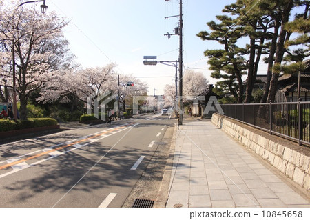 酒井市酒井區區街道 10845658
