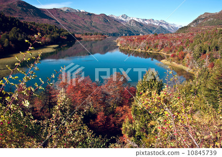 Autumn in Bariloche, Patagonia, Argentina Autumn in Bariloche, Patagonia, Argentina 10845739