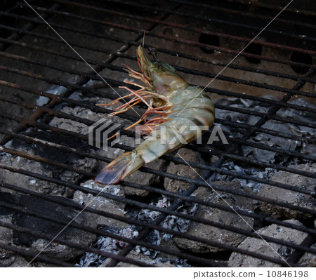Cooking fresh tiger prawn grilled Cooking fresh tiger prawn grilled 10846198