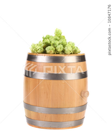 Barrel with hop on top. 10847176