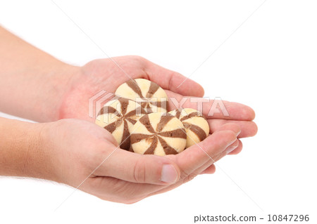 Hand holds biscuits of a chocolate cloves. Hand holds biscuits of a chocolate cloves. 10847296