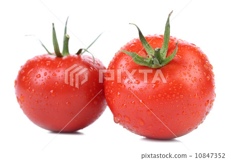 Two tomatoes with water drops. 10847352