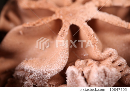Chocolate ice cream from top Chocolate ice cream from top 10847503