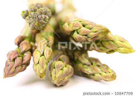 fresh asparagus spears 10847709