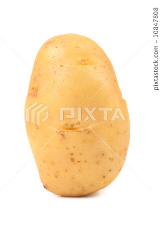 potato isolated close up 10847808
