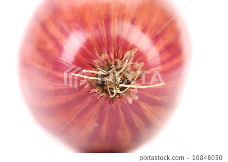 Red onion 10848050