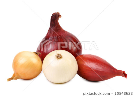 Different onions. 10848628