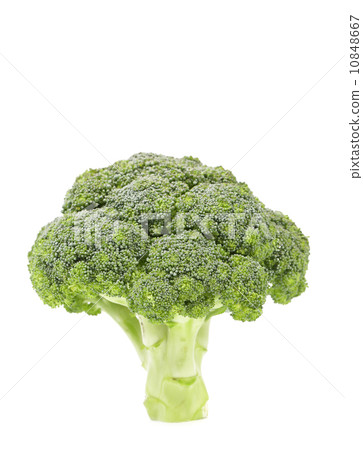Fresh healthy brocoli. Fresh healthy brocoli. 10848667