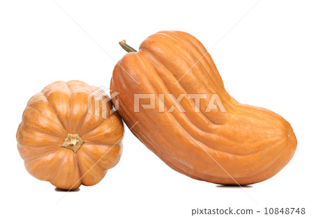 Two fresh pumpkins. Two fresh pumpkins. 10848748
