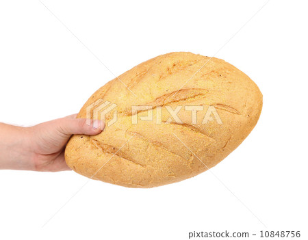 Hand hold white bread of corn meal. Hand hold white bread of corn meal. 10848756