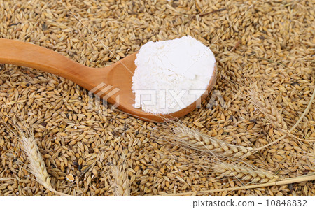 Blend of different grains and flour. Close up. 10848832