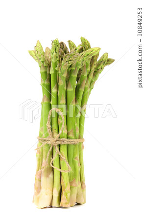 Bunch Asparagus on the white background Bunch Asparagus on the white background 10849253