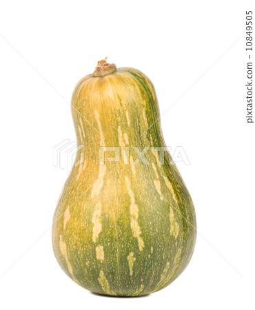 Fresh orange and green pumpkin 10849505