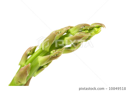 fresh asparagus spear. fresh asparagus spear. 10849518
