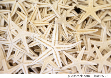 background of sea stars with thin beams 10849728