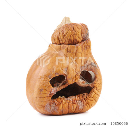 Pumpkin halloween Pumpkin halloween 10850066