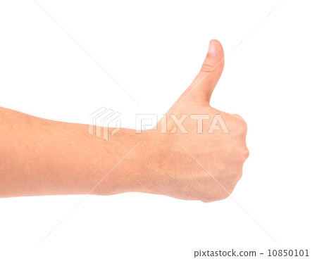 Thumb of man hand. Thumb of man hand. 10850101