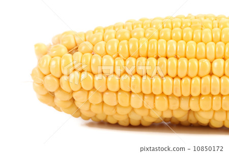 Close up of fresh corn. 10850172