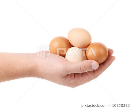 Hand holding brown eggs 10850223