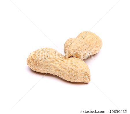 Two pods of peanuts on a white background. Two pods of peanuts on a white background. 10850485