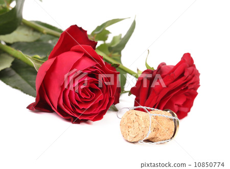 Closeup of two roses and a crok. 10850774