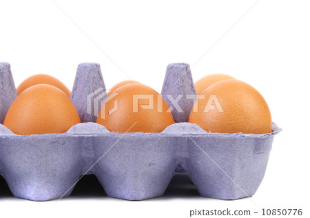Sex brown eggs. Sex brown eggs. 10850776